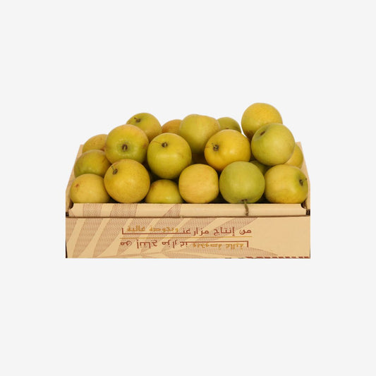 سدر باكستانى مدور - كيلو ونص